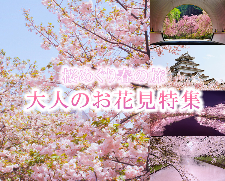 大人のお花見特集～日本各地の桜の名所へ～